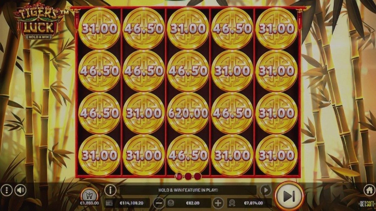 256_tigers_luck_-_hold__win_-_cover