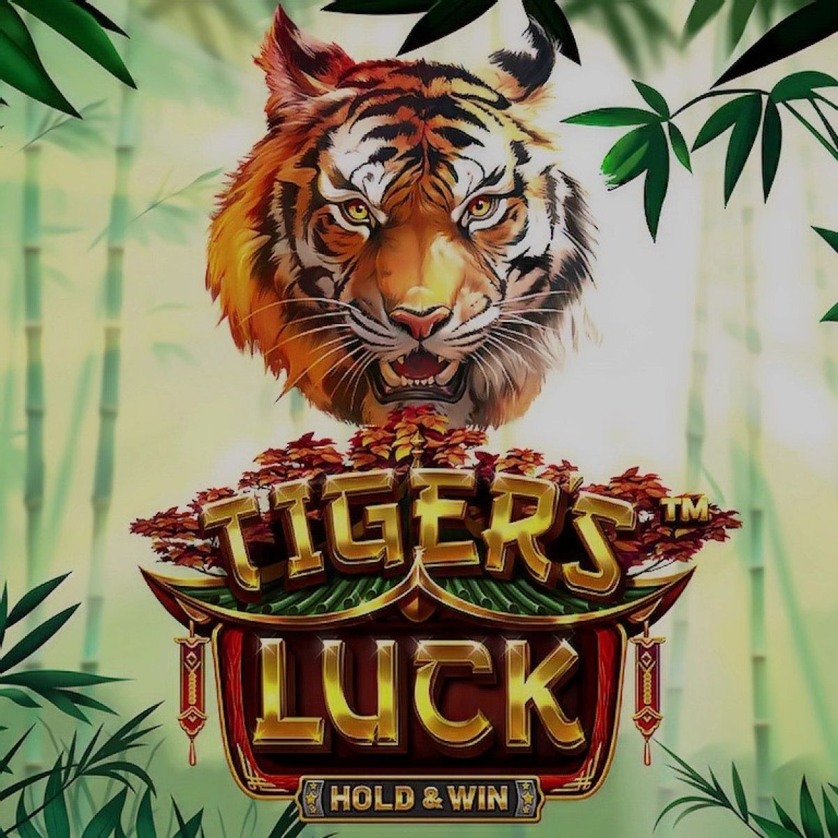 256_tigers_luck_-_hold__win