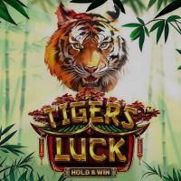 Tiger’s Luck – HOLD & WIN